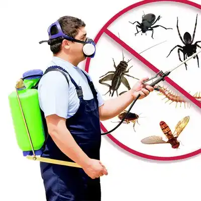 pest control Altura